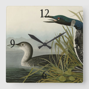 Great Northern Diver Loon Audubon Birds of America Square Wall Clock