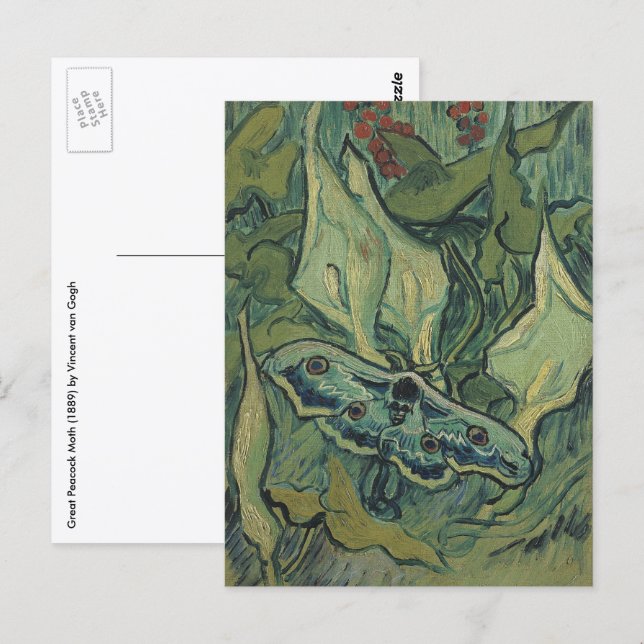 Great Peacock Moth by Vincent van Gogh Postcard (Front/Back)