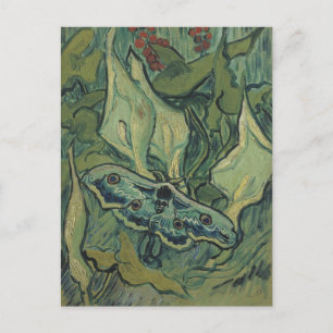 Great Peacock Moth by Vincent van Gogh Postcard