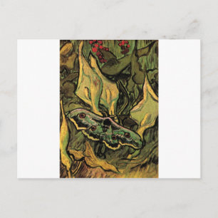 Great Peacock Moth by Vincent van Gogh Postcard