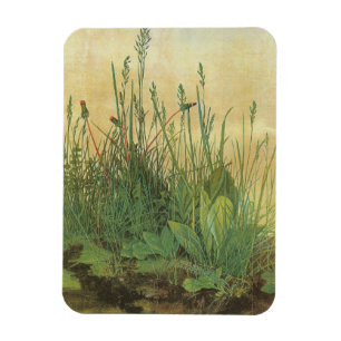 Great Piece of Turf by Albrecht Durer, Vintage Art Magnet