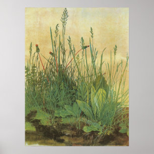 Great Piece of Turf by Albrecht Durer, Vintage Art Poster