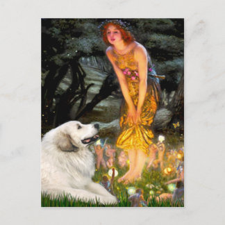 Great Pyrenees 2 - MidEve Postcard