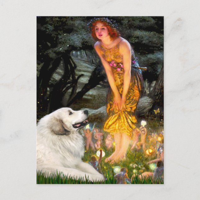 Great Pyrenees 2 - MidEve Postcard (Front)