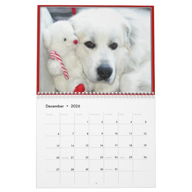 Great Pyrenees Calendar (Dec 2026)