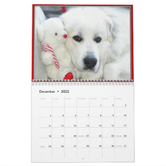 Great Pyrenees Calendar