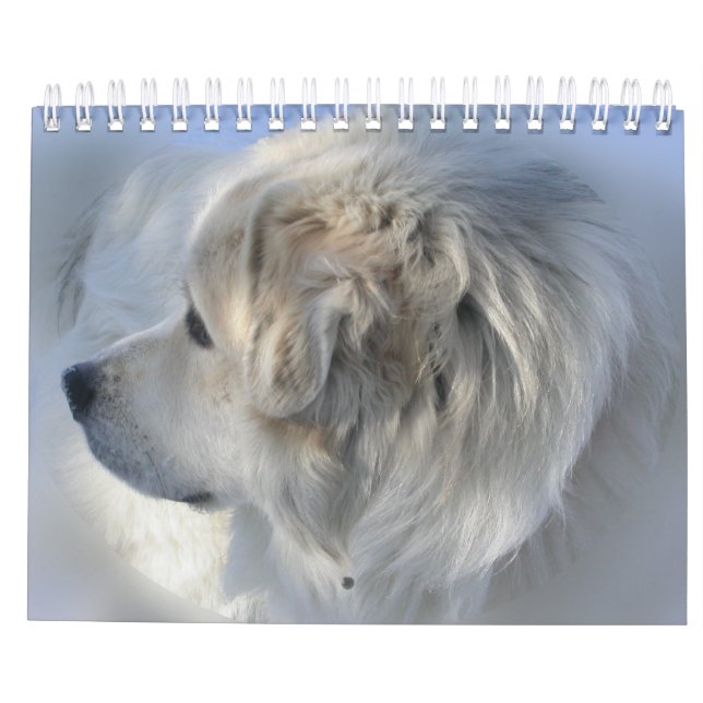 Great Pyrenees Calendar (Back)