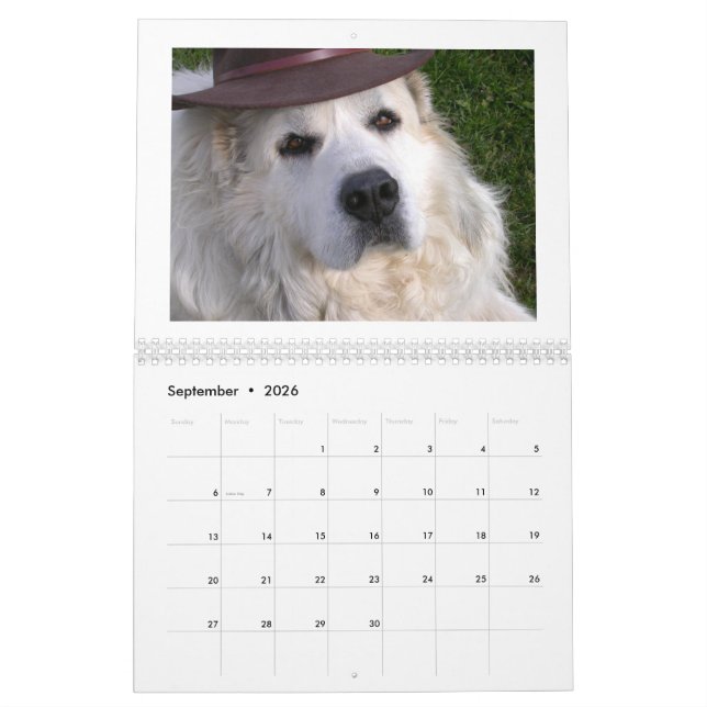  Great Pyrenees Calendar (Sep 2026)