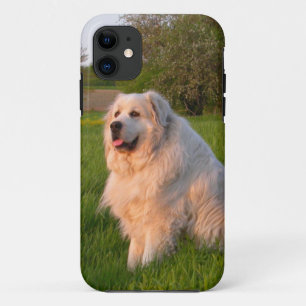 Great Pyrenees case
