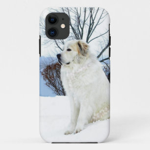 Great Pyrenees case