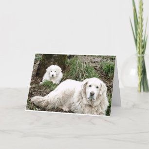 Great Pyrenees Dog and puppy Card