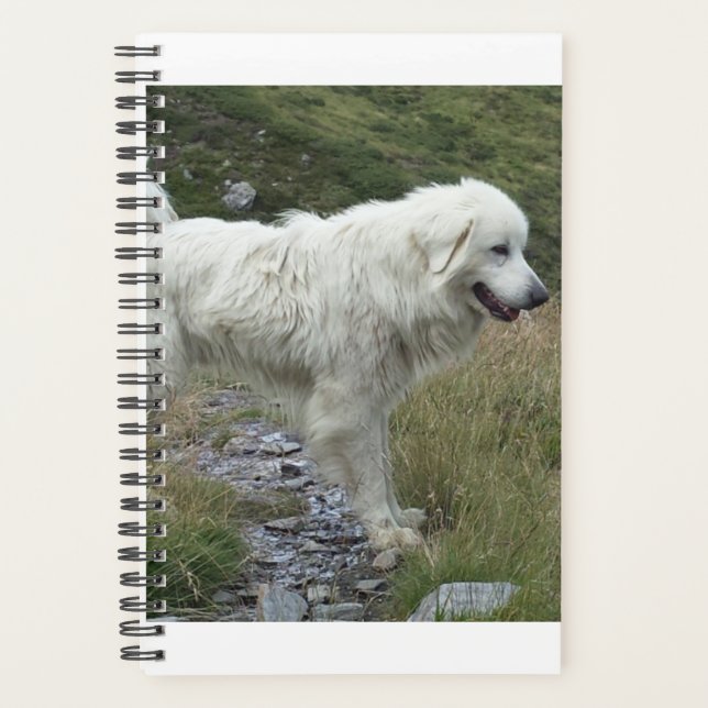 great pyrenees full planner (Front)