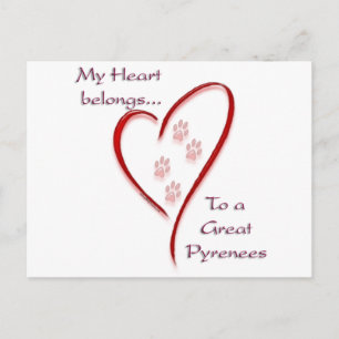 Great Pyrenees Heart Belongs Postcard