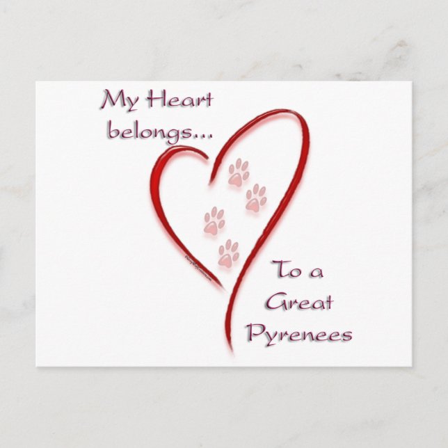 Great Pyrenees Heart Belongs Postcard (Front)