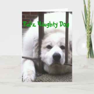 Great Pyrenees Holiday Greetings Card