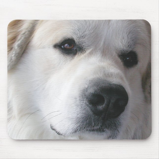 Great Pyrenees Mousepad (Front)