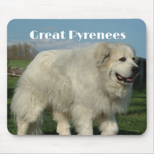Great Pyrenees Mousepad