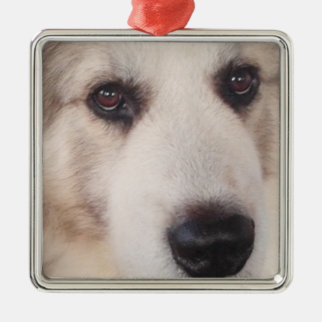 Great Pyrenees Ornament (Front)