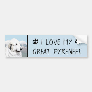 Great Pyrenees Painting - Original Dog Art Bumper Sticker