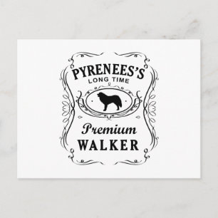 Great Pyrenees Postcard