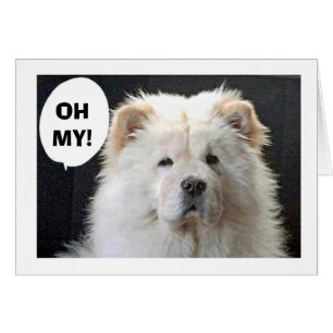 GREAT PYRENEES SAYS "HAPPY 40TH"