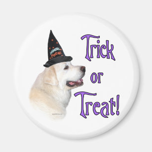 Great Pyrenees Trick Magnet