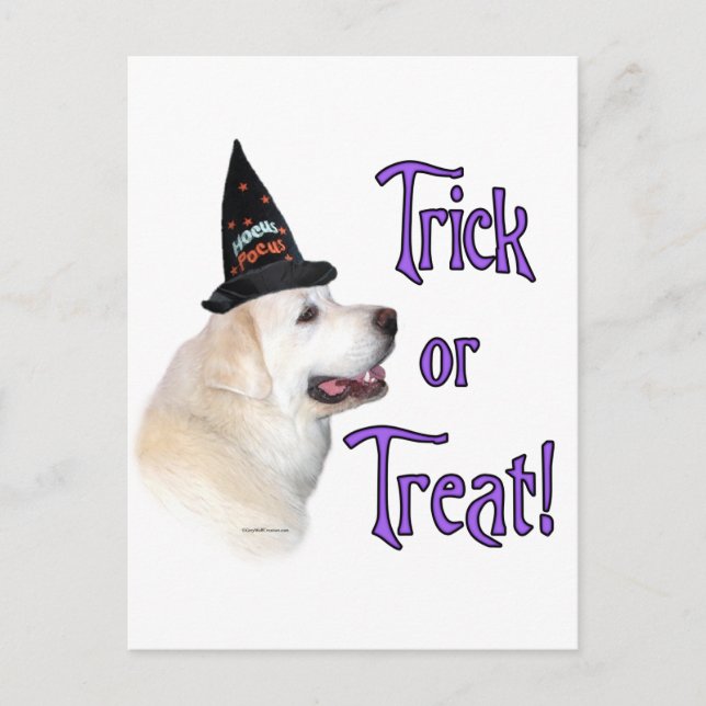 Great Pyrenees Trick Postcard (Front)