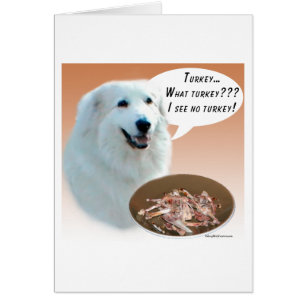 Great Pyrenees Turkey