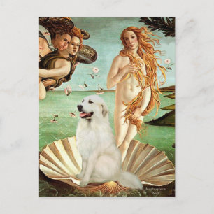 Great Pyrnees 1 - Birth of Venus Postcard
