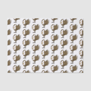 Great sage grouse bird cartoon illustration tissue paper