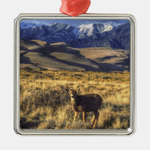 Great Sand Dunes National Park, Colorado Metal Tree Decoration