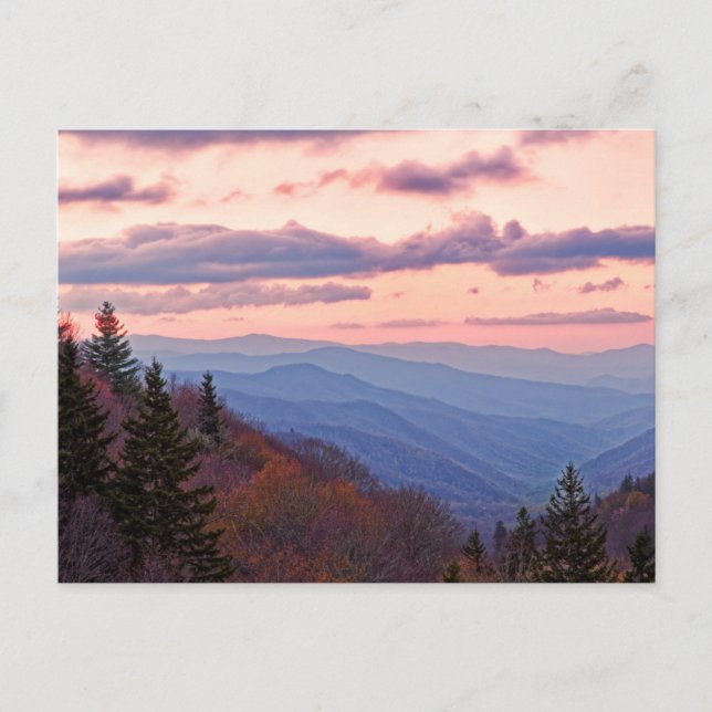 Great Smoky Mountain National Park Postcard (Front)