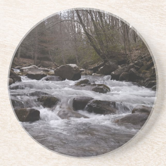 great smoky mountains 2 coaster (Front)