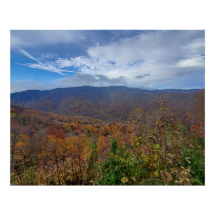 Great Smoky Mountains Fall Leaves Burnt Orange Poster