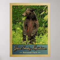 Great Smoky Mountains National Park Bear