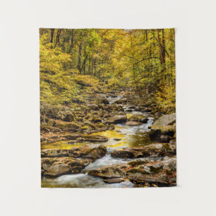 Great Smoky Mountains National Park. Big Creek Tapestry