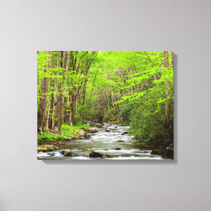 Great Smoky Mountains National Park North Carolina Canvas Print