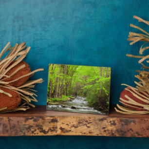 Great Smoky Mountains National Park North Carolina Plaque