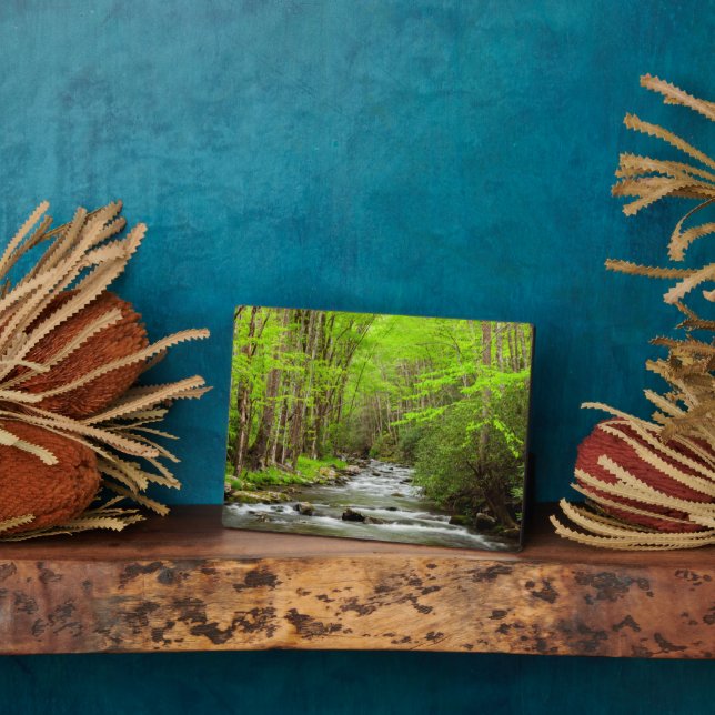 Great Smoky Mountains National Park North Carolina Plaque (Side)