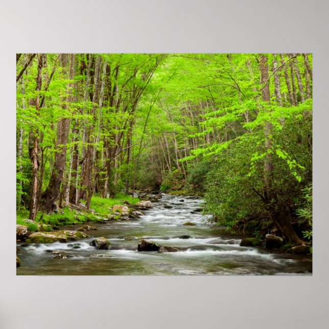 Great Smoky Mountains National Park North Carolina Poster (Front)