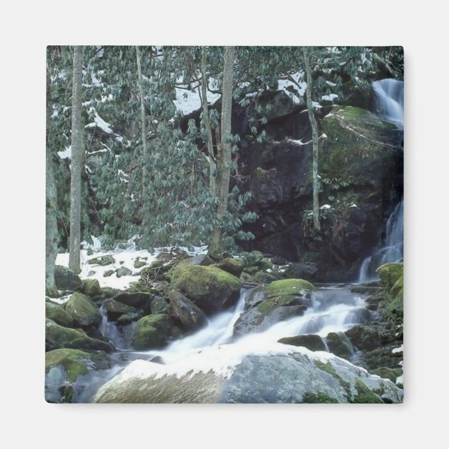 Great Smoky Mountains, NC Magnet (Front)
