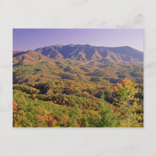Great Smoky Mountains NP, Tennessee, USA Postcard