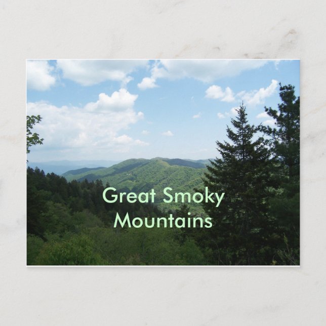 Great Smoky Mountains Postcard (Front)