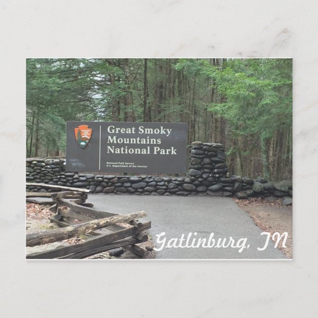 Great Smoky Mountains Postcard (Front)