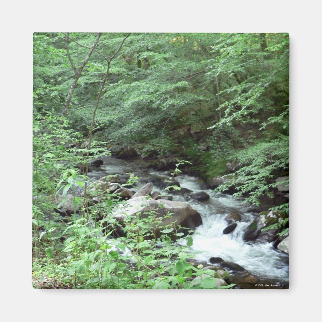 Great Smoky Mountains Stream Magnet (Front)
