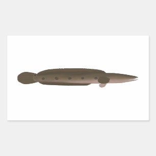 Great Snakehead Rectangular Sticker
