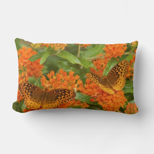 Great Spangled Fritillaries on Butterfly Milkweed Lumbar Cushion (Front)