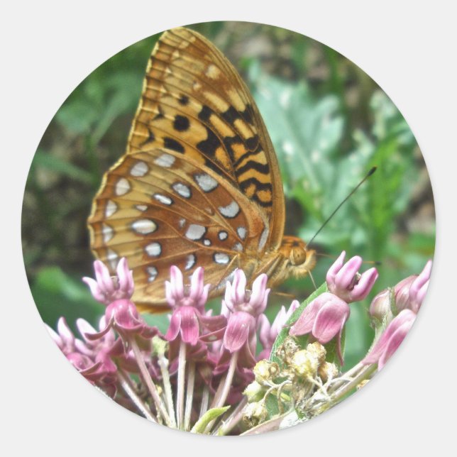 Great Spangled Fritillary Coordinating Items Classic Round Sticker (Front)