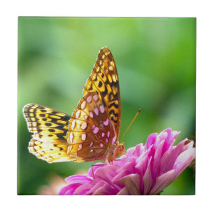 Great Spangled Fritillary Tile