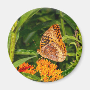 Great-spangled Fritillery Butterfly Magnet